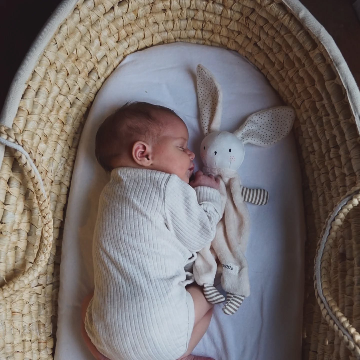 482994995_18040480469607505_3255181198198458077_n